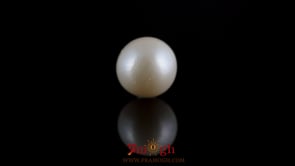 Pearl - 7.7 Carat