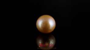Golden Pearl - 7.8 Carat