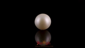 Pearl - 7.45 Carat