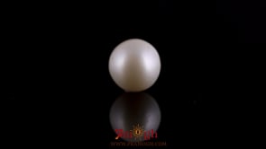 Pearl - 7.45 Carat