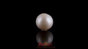 Pearl - 7.35 Carat