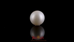 Pearl - 7.2 Carat