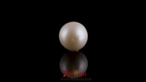 Pearl - 7.25 Carat