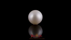 Pearl - 7.75 Carat