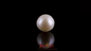 Pearl - 7.4 Carat