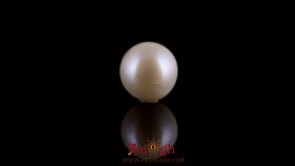 Pearl - 8.15 Carat