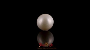 Pearl - 7.35 Carat