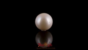 Pearl - 7.55 Carat