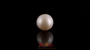 Pearl - 7.65 Carat