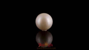 Pearl - 7.45 Carat