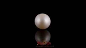 Pearl - 7.35 Carat