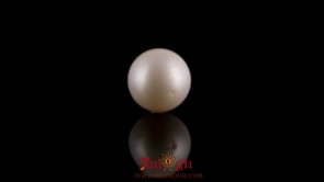 Pearl - 7.7 Carat