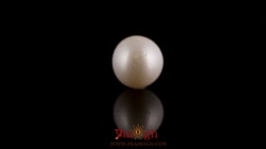 Pearl - 7.4 Carat