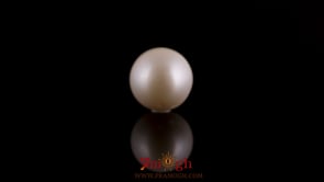 Pearl - 7.65 Carat