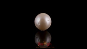 Pearl - 7.45 Carat