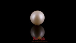 Pearl - 7.85 Carat