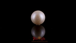 Pearl - 7.45 Carat