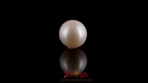 Pearl - 7.75 Carat