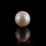 Pearl - 7.75 Carat