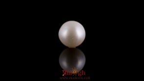 Pearl - 7.35 Carat