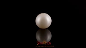 Pearl - 7.45 Carat