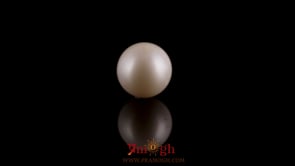 Pearl - 7.6 Carat