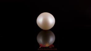 Pearl - 7.3 Carat