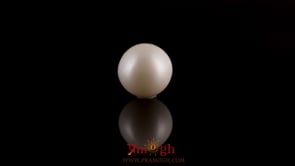 Pearl - 7.75 Carat