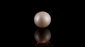 Pearl - 7.7 Carat