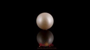 Pearl - 7.9 Carat