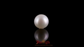 Pearl - 3.08 Carat