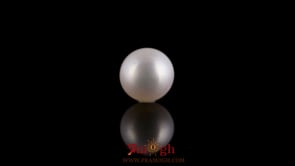 Pearl - 3.15 Carat