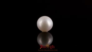 Pearl - 2.68 Carat