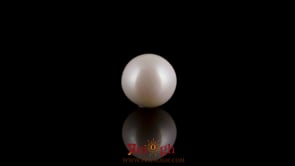 Pearl - 3.3 Carat