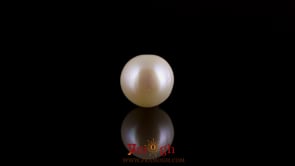 Pearl - 3.4 Carat