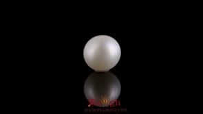 Pearl - 3.15 Carat