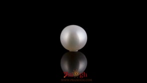 Pearl - 3.1 Carat