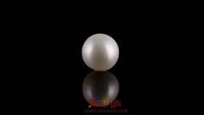Pearl - 3.2 Carat