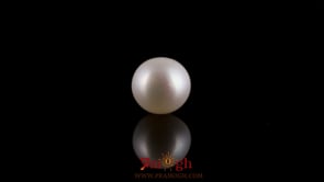 Pearl - 3.6 Carat