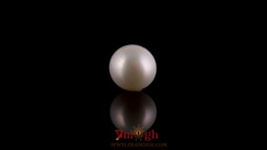 Pearl - 2.88 Carat