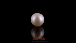 Pearl - 3.25 Carat