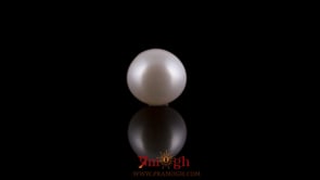 Pearl - 3.25 Carat
