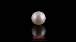 Pearl - 3.6 Carat