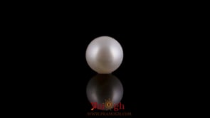 Pearl - 3.25 Carat