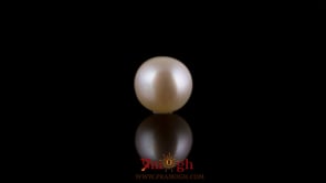 Pearl - 3.1 Carat