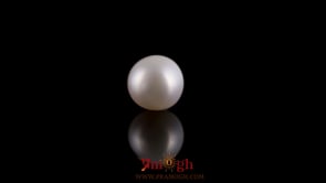 Pearl - 3.05 Carat