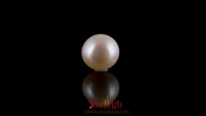 Pearl - 3.25 Carat