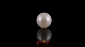 Pearl - 3.23 Carat