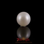 Pearl - 3.23 Carat