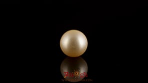 Golden Pearl - 4.55 Carat